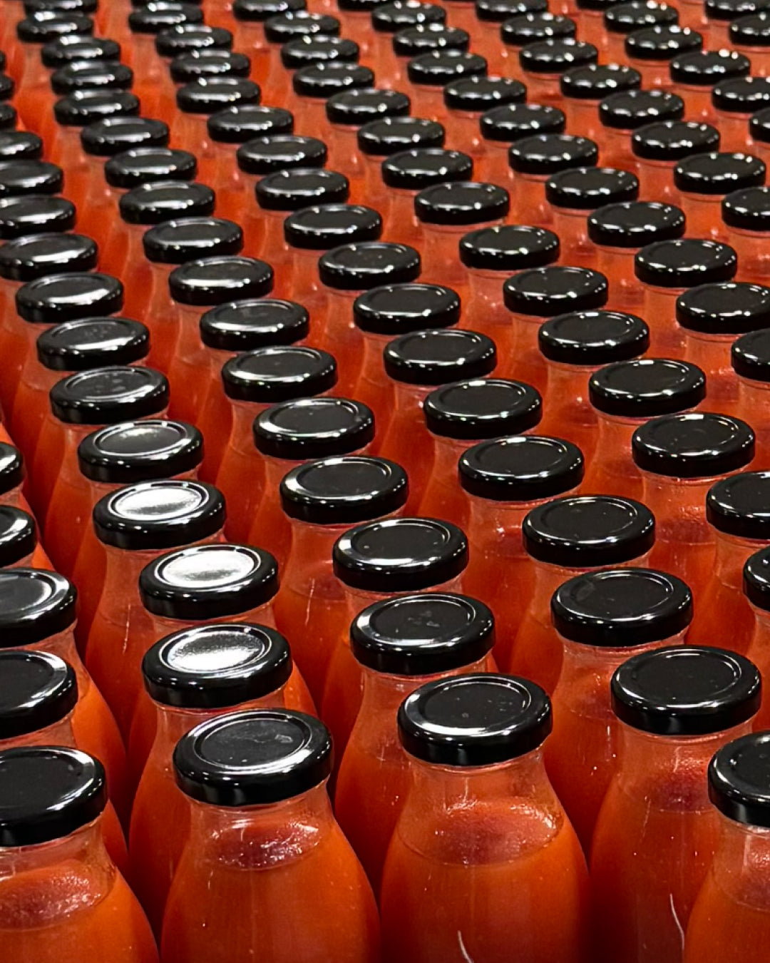 Cuvée de Jardin — Jus de légumes frais (12)